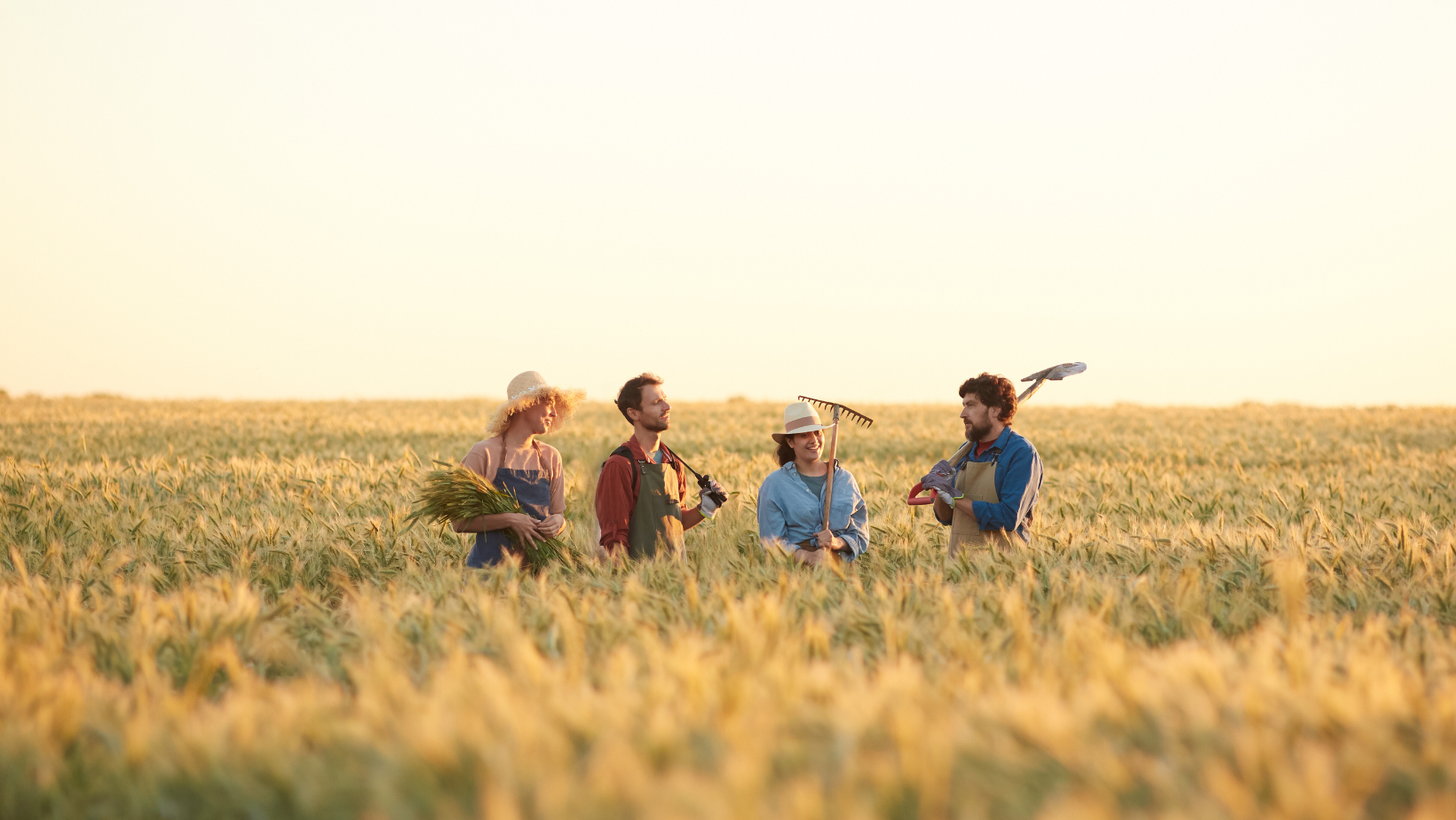 Co Ops 3 Young Agrarians