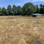 LAND OPPORTUNITY: Fenced 5 Acres for Livestock with 2 BR Suite and Orchard  – Aldergrove, BC