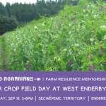 SEP 10, 2023: ENDERBY, BC – Cover Crop Field Day at West Enderby Farm