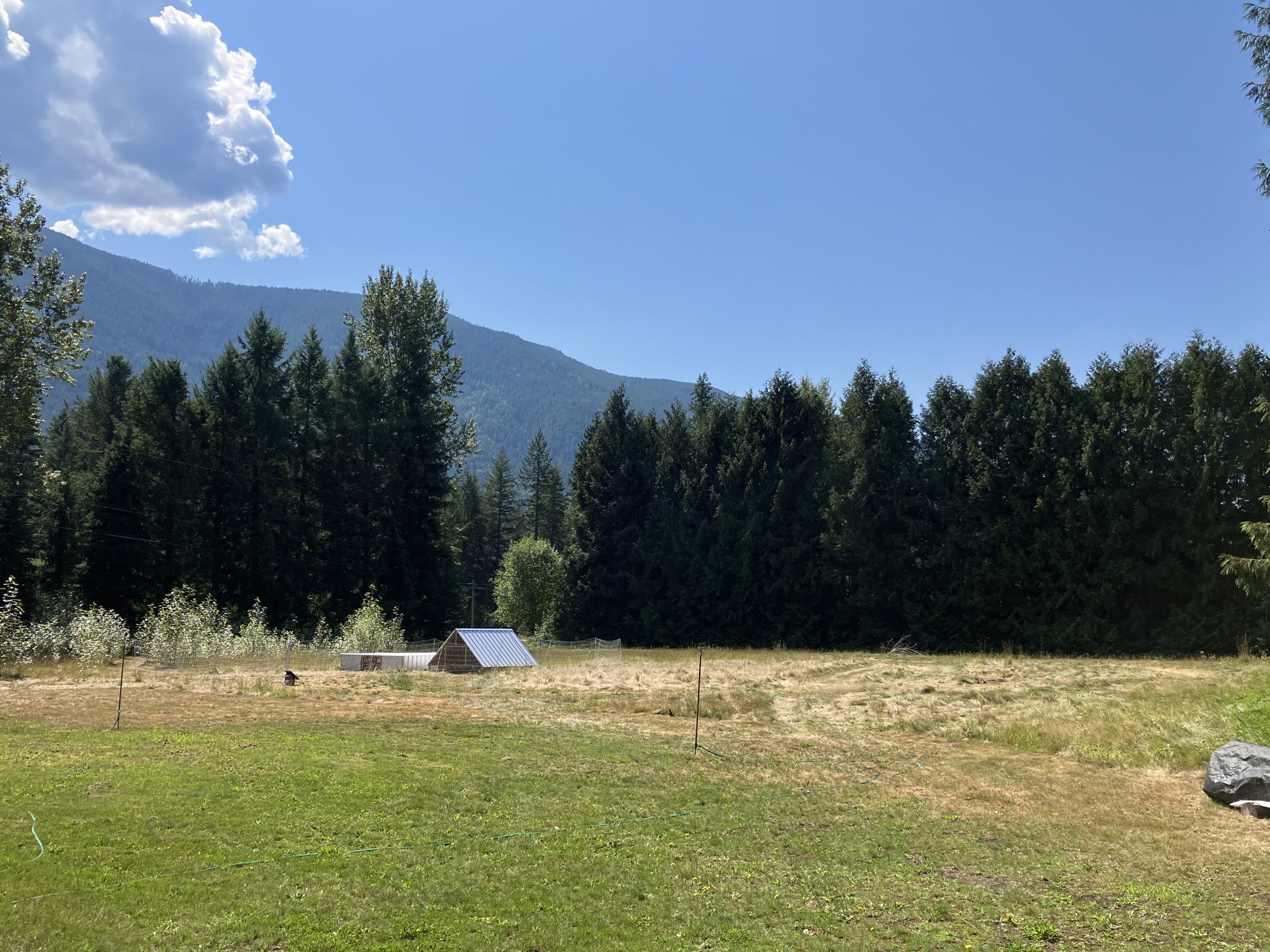 LAND OPPORTUNITY Sunny Farmland Close to Kootenay River Tarrys, B.C