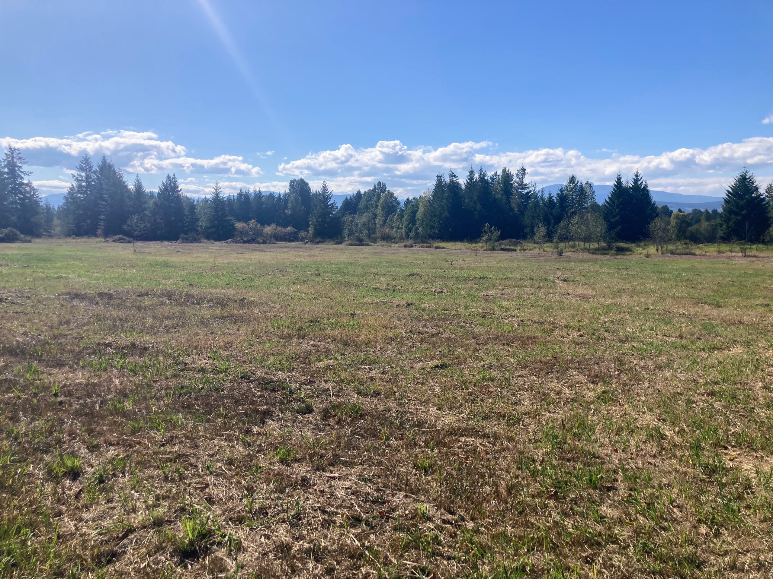 LAND OPPORTUNITY Farmland for Lease for Field Crops, Livestock or