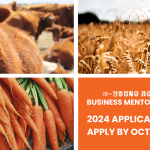 2024 BUSINESS MENTORSHIP NETWORK – APPLY NOW!