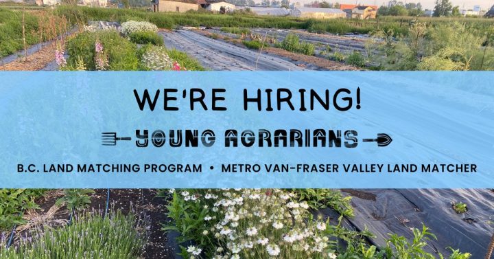 We're hiring - Young Agrarians - BC Land Matching Program - Metro Van-Fraser Valley Land Matcher