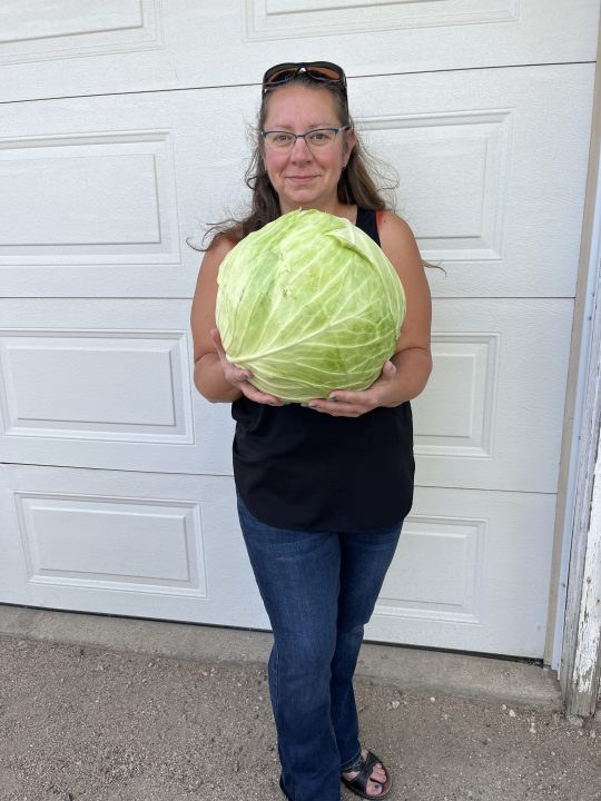 Kim Ross of Rossdale Farms holding a giant green cabbage