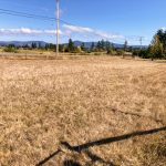 LAND OPPORTUNITY: 1 Acre for Chickens, Bees, and Market Gardening – Cowichan Bay, BC