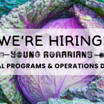 We’re hiring! National Programs and Operations Director