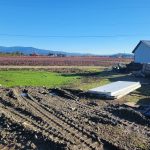 LAND OPPORTUNITY: 0.5 Acres of Possibility – Pitt Meadows, BC