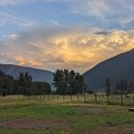 LAND OPPORTUNITY: 1+ Acre for Whole-Systems Farming – Walhachin, BC