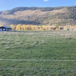 LAND OPPORTUNITY: 17 Acres for Mixed Farming – Chase, BC