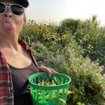 YA Business Mentorship Network – Sunflowers Urban Farm