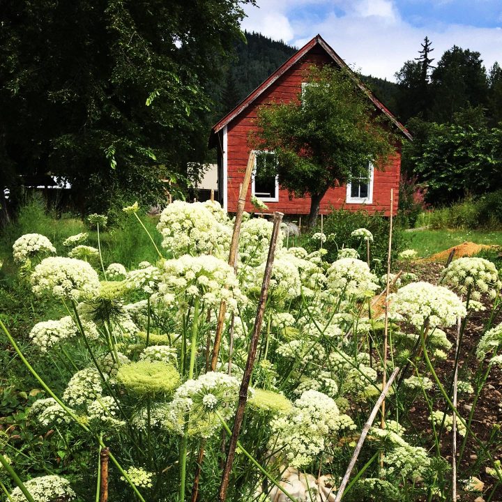 red barn with flowers