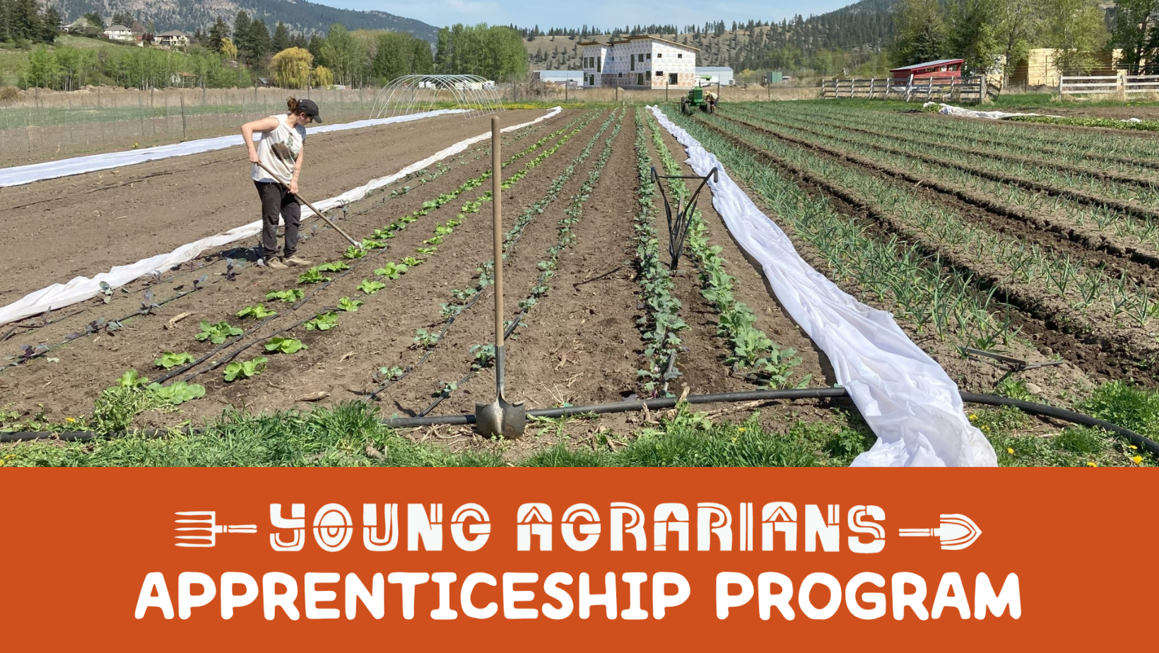 Young Agrarians Growing the next generation of farmers and food lovers in Canada!