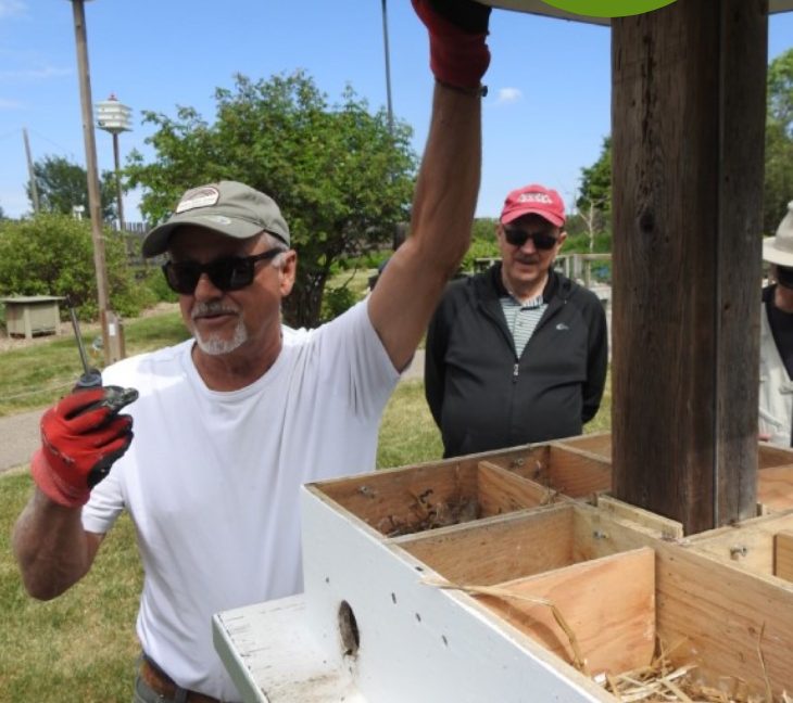 Bird nesting boxes research at Ellis Nature Centre