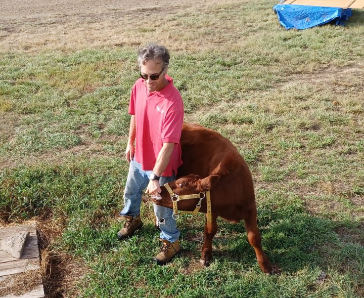 Ranch Hand Aaron with calf, Hart Ranches