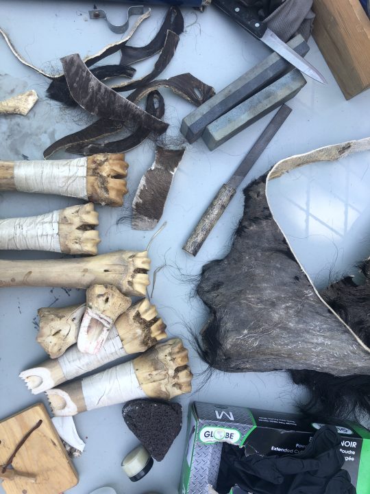 Pieces of cut offs from processed bison hide, files and whet stones for sharpening tools, a sharp knife, a box of vinyl gloves, a small jar of hand salve, and five bone scrapers, wrapped in white tape for grip, are lined up roughly on a grey table for use.