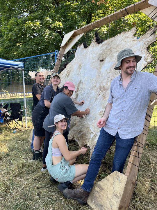 Five folks turn towards the camera from their work on the bison hide, flesh side. They are holding various tools, four stand and one is crouched at work. The frame they are working on is 10 x 10 in size, with black nylon string used to stretch the bison hide. The hair side faces away, we can see the flesh side, a creamy yellowish white, with pinkish patches, which is being worked by hand. The smiles are ear to ear on each face.