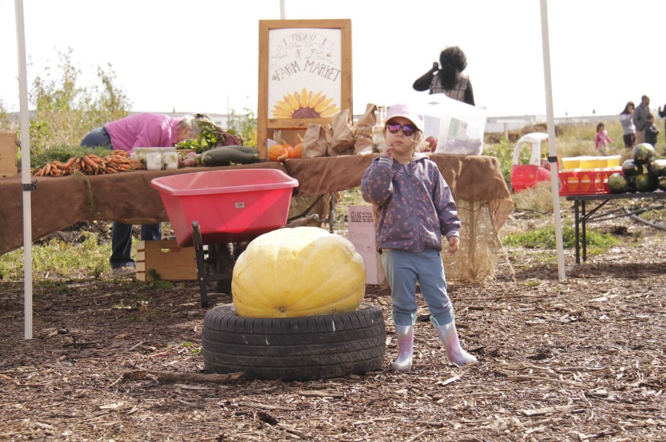 Land of Dreams Farm Market stand