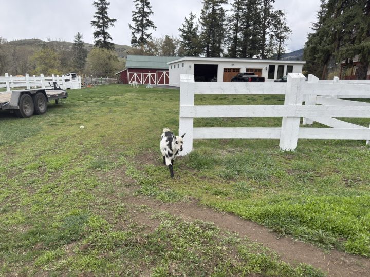 land with fencing and farm infrastructure