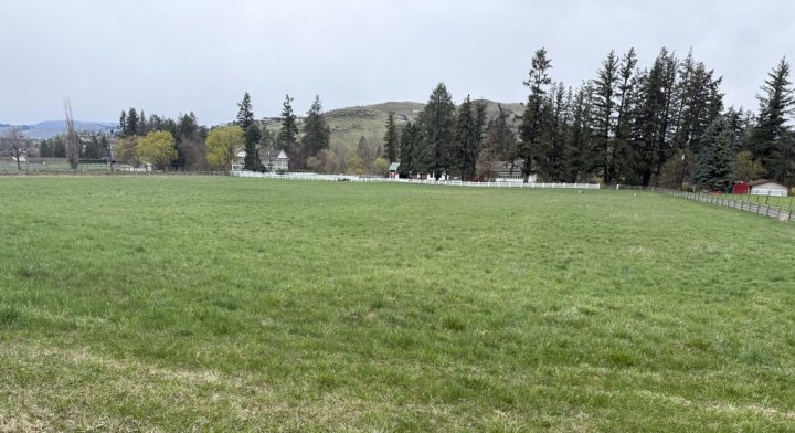 land with grassy field