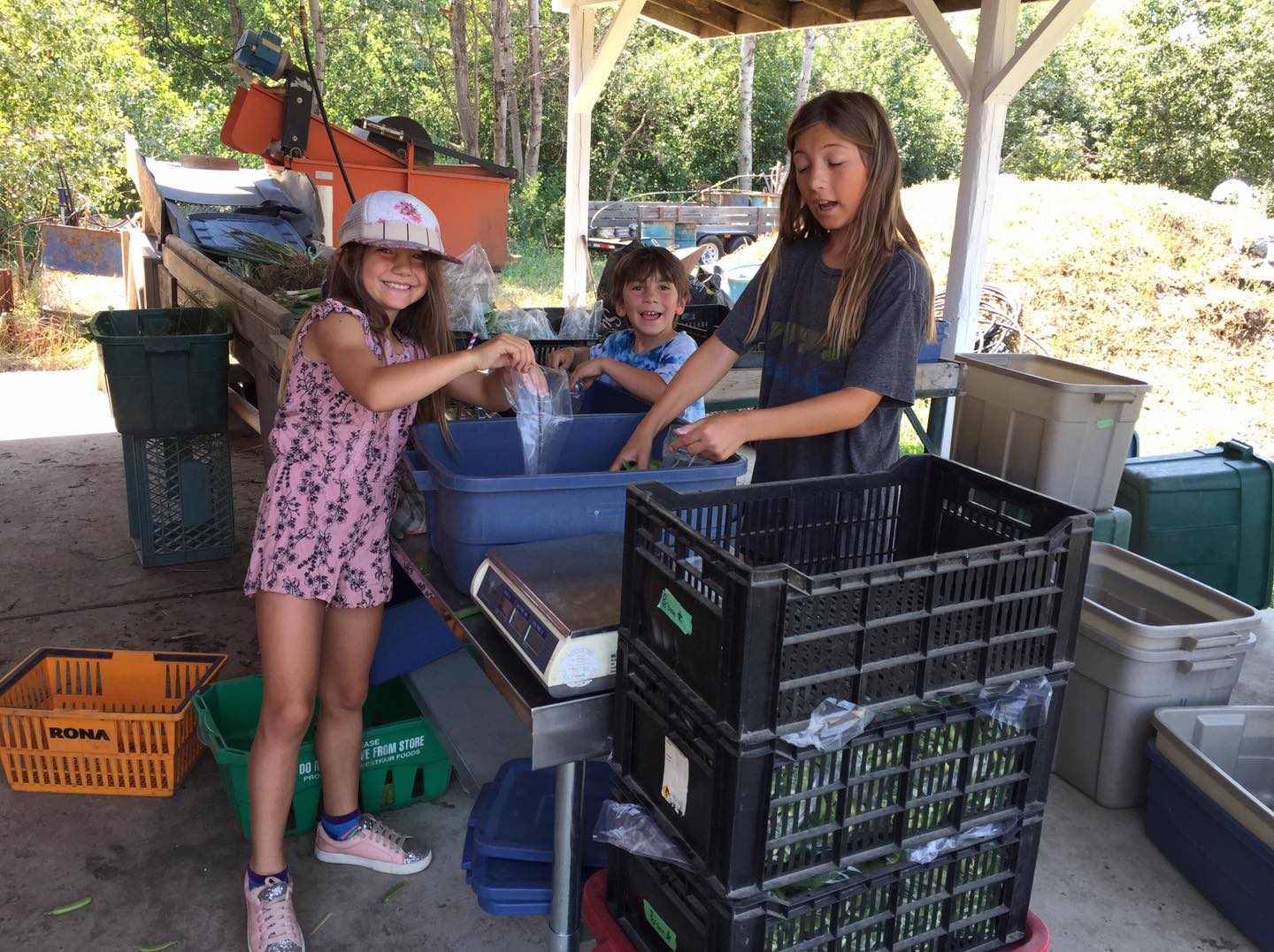 FARM JOB Oyama, BC 4 Elements Farm, Field and Orchard Hand Young Agrarians