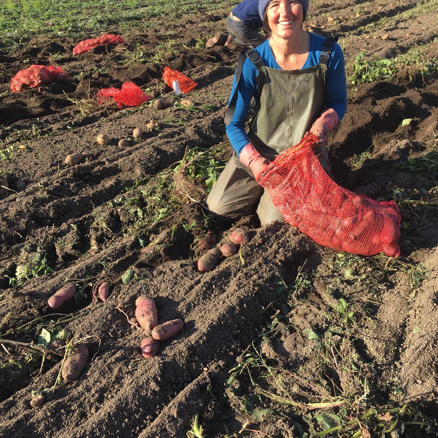 FARM JOB Oyama, BC 4 Elements Farm, Field and Orchard Hand Young Agrarians