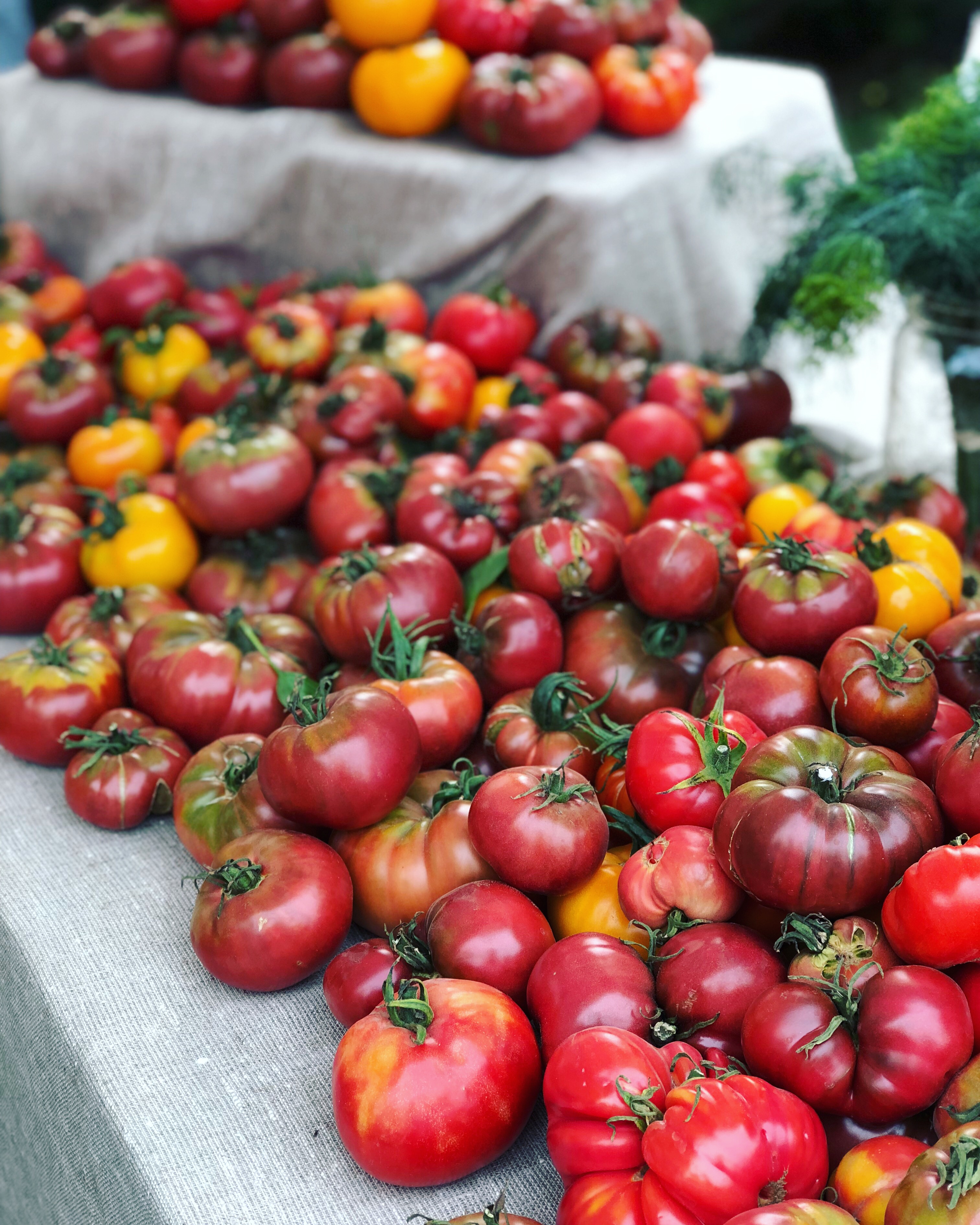 FARM JOB Aldergrove/Langley, B.C. Black Table Farm, Farm Hand