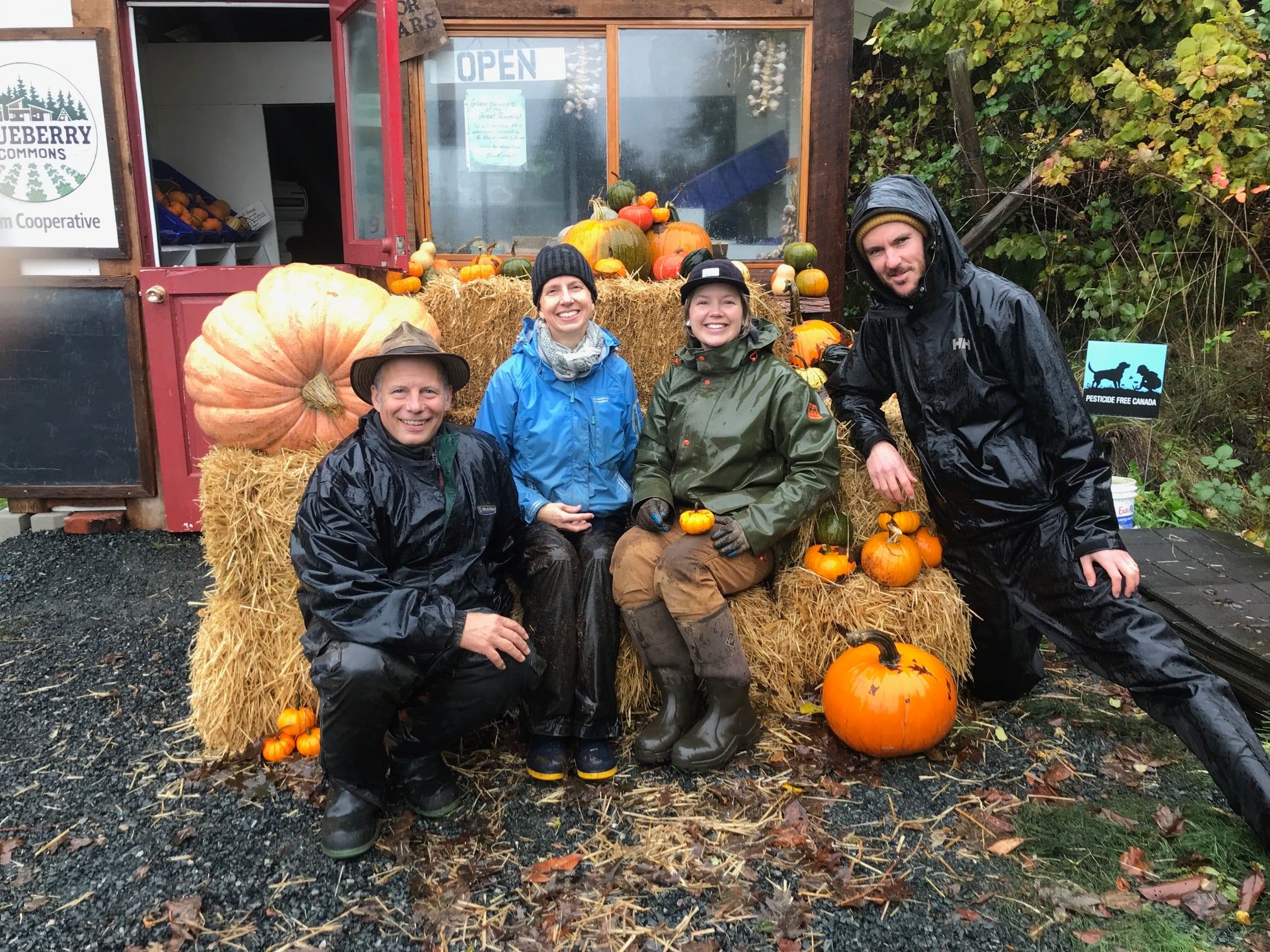 FARM JOB Powell River, BC Blueberry Commons Farm Cooperative, Farm