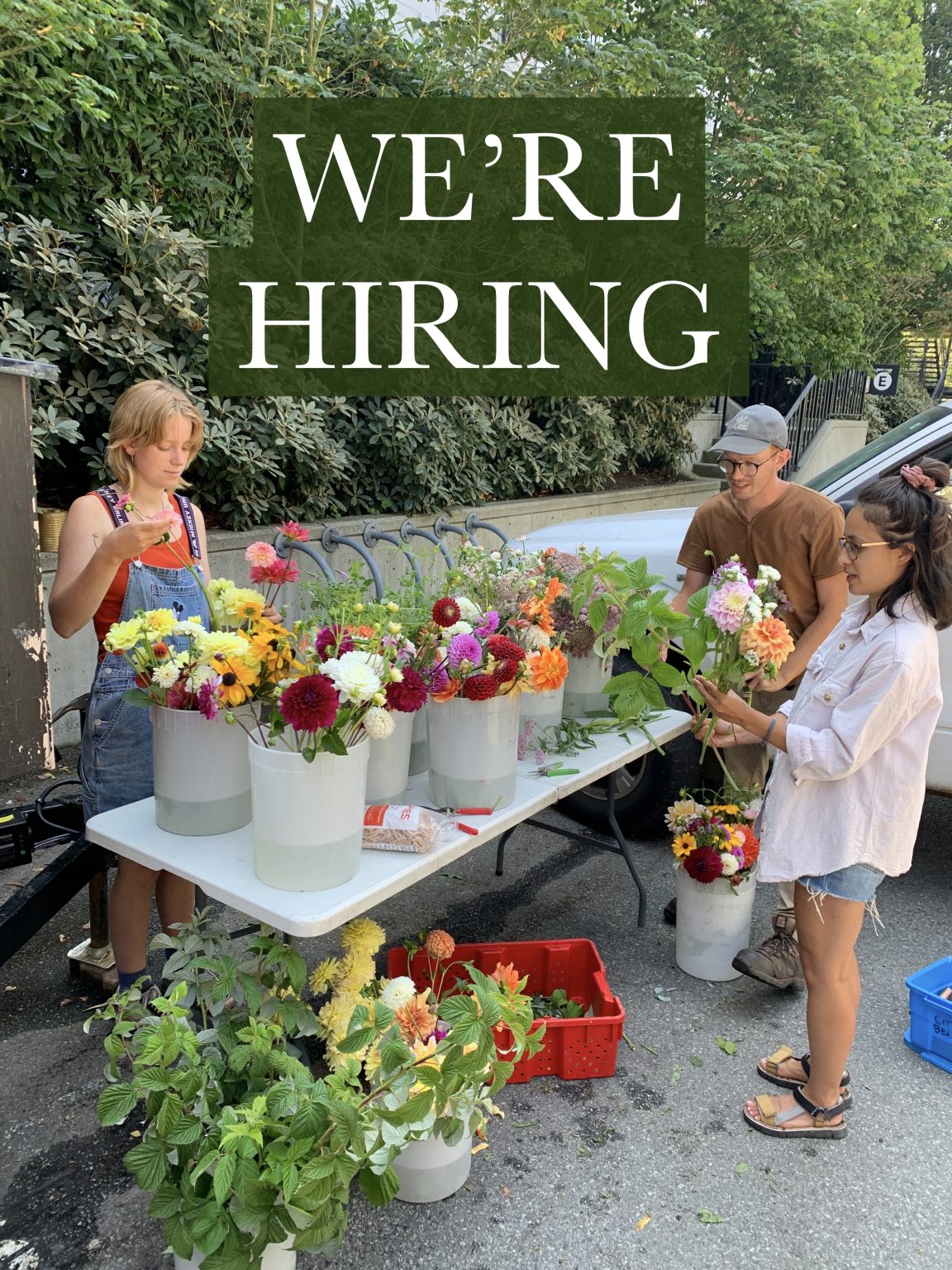 FARM JOB Vancouver, BC City Beet Farm, Farm Hand