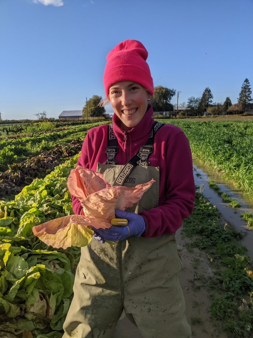 FARM JOB Delta, BC Cropthorne Farm, Field Crew Lead