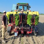 FARM JOB: Delta, BC – Cropthorne Farm, Field Crew Lead