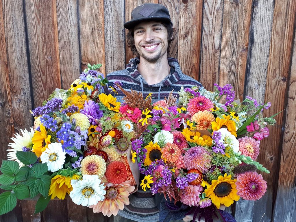 dancing dandelion farm job