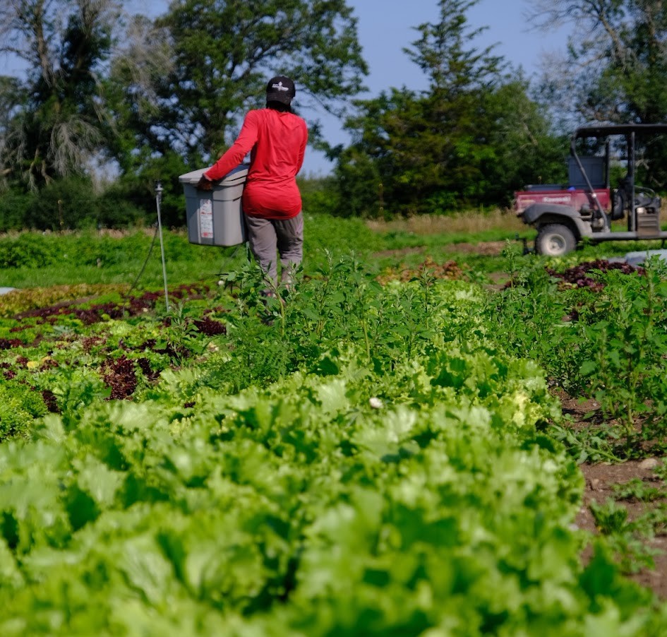 FARM JOB Prince Edward County, Ontario Edwin County Farms, Assistant