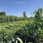 FARM JOB: Winnipeg, Manitoba – FortWhyte Farms, Operations Assistant