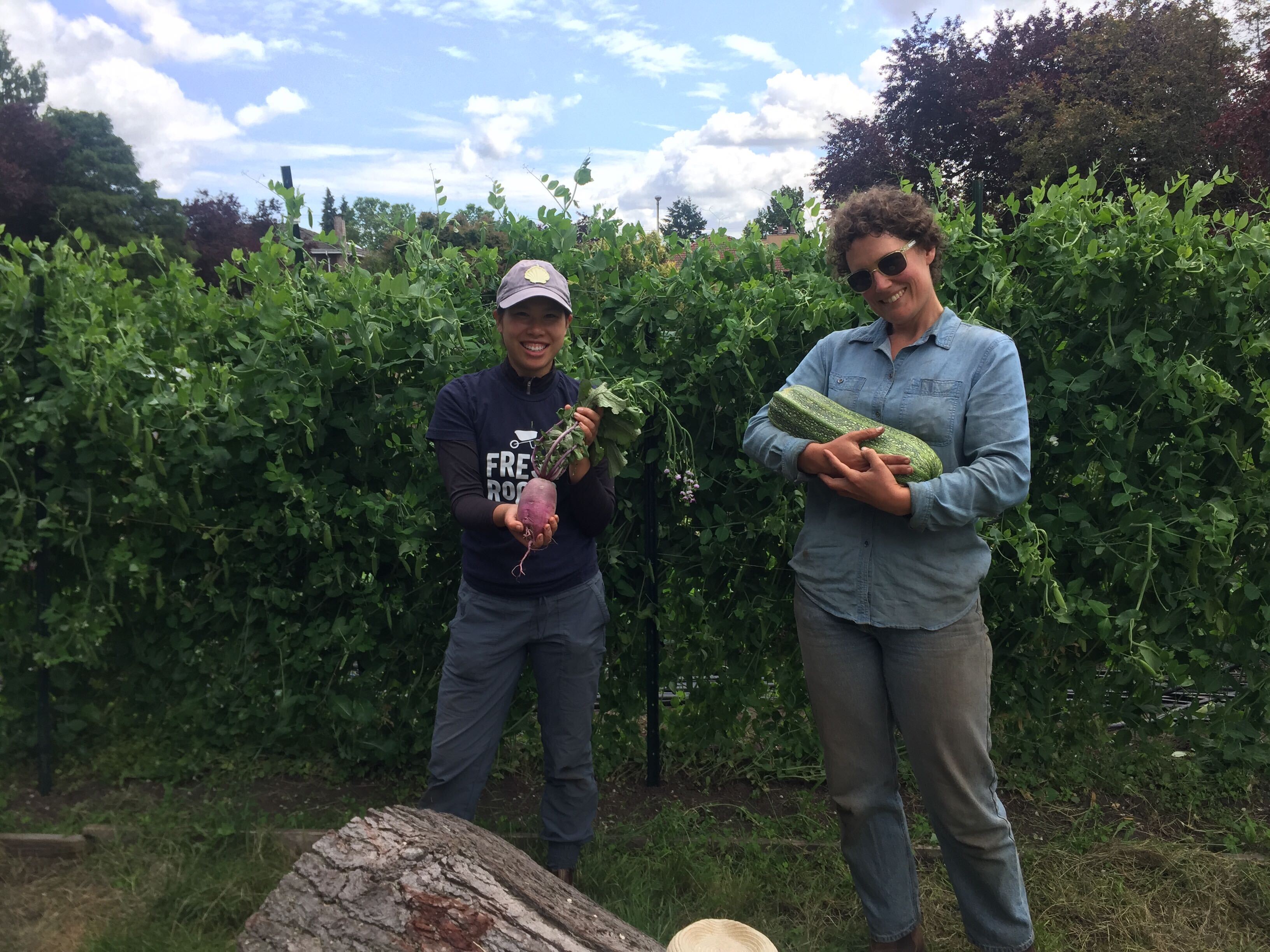 FARM JOBS Vancouver, BC Fresh Roots Urban Farm Society