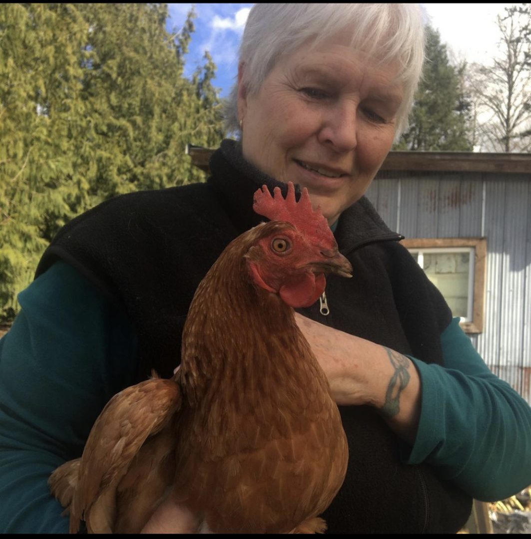 FARM JOB Aldergrove, B.C Glorious Organics Cooperative farm, Farm