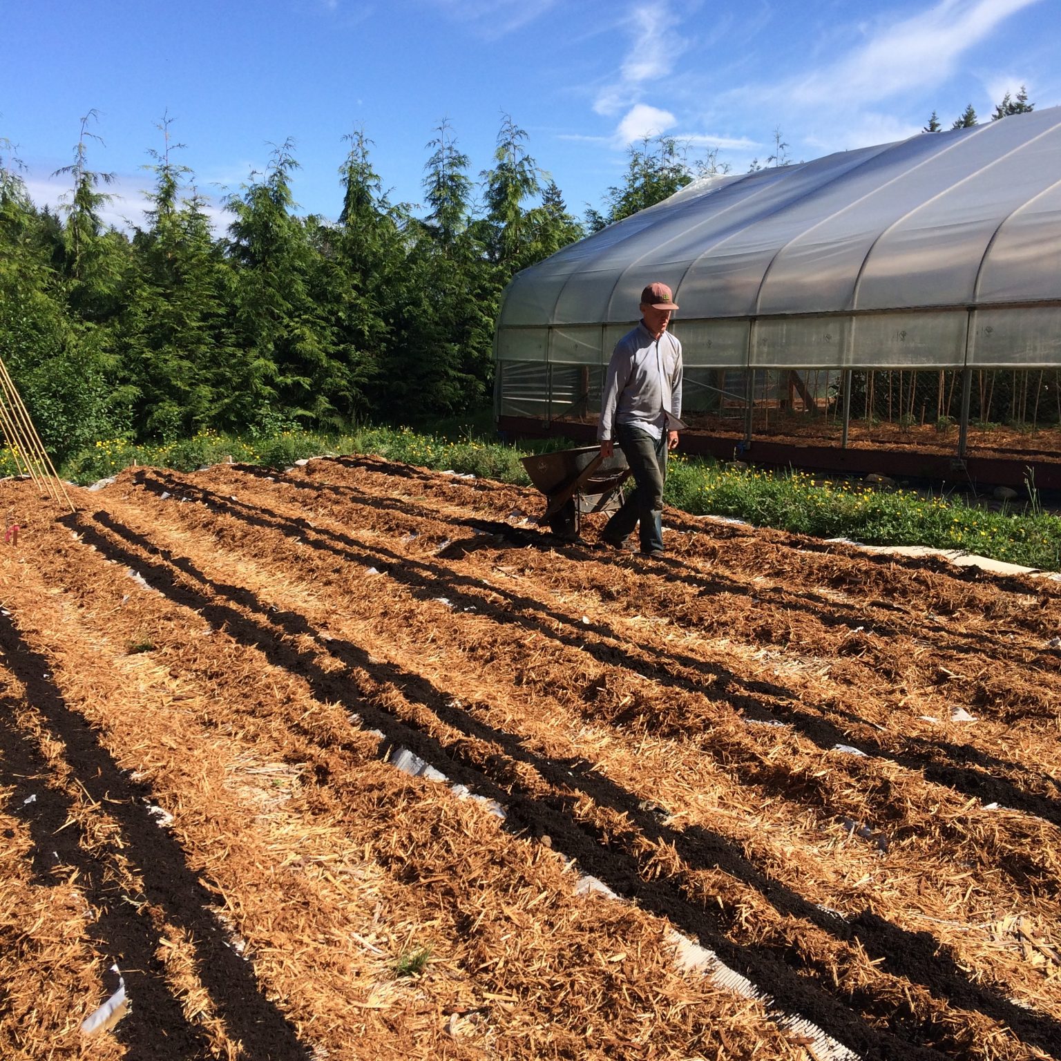[FILLED] FARM JOB COMOX VALLEY, BC Good Earth Farms, Farm Helper