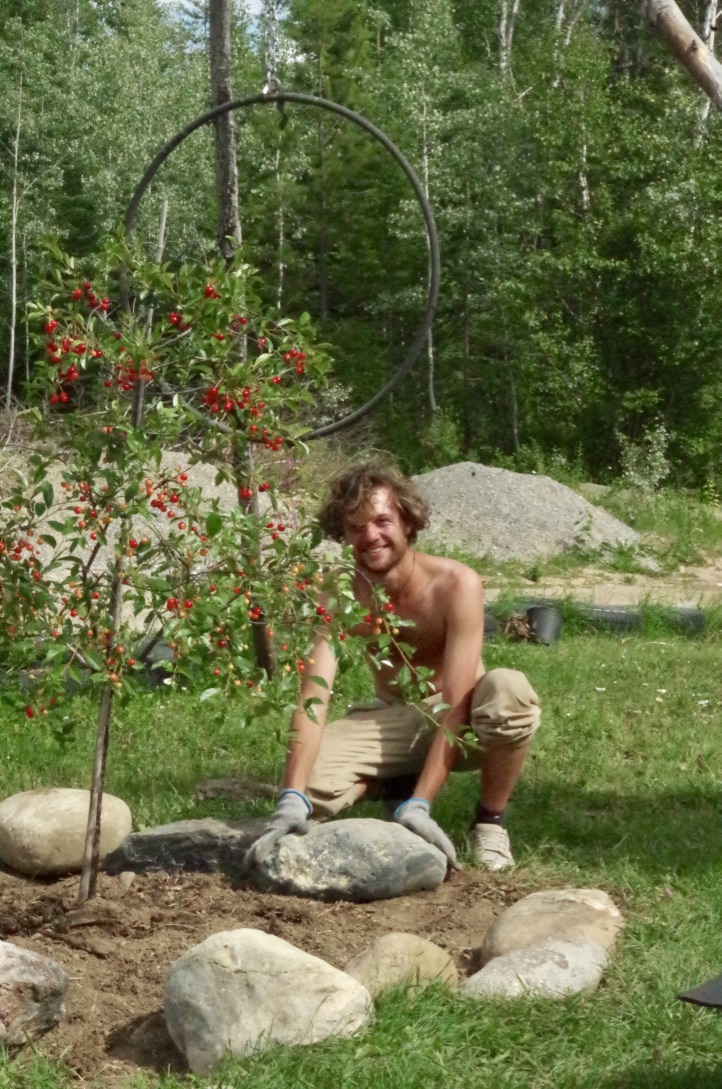 FARM JOB Golden, BC Goonieland Permaculture Farm, Construction