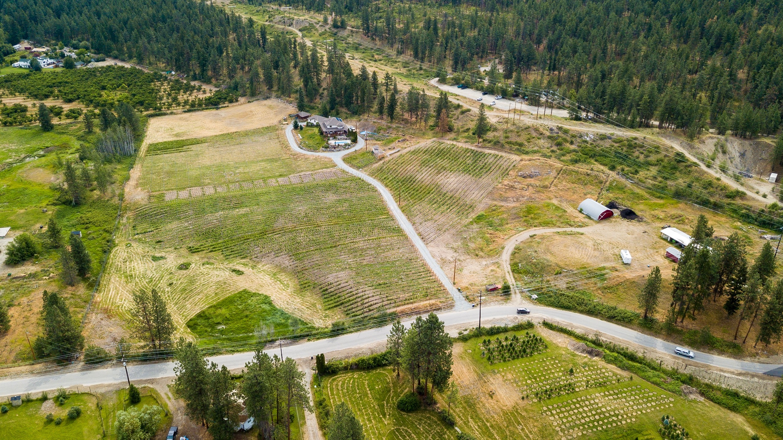 FARM JOB Kelowna, BC Hidden Vines, Vineyard Farm Worker