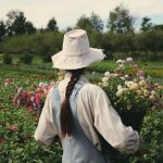 FARM JOB: Hemmingford, Quebec – Homefield Flower Farm, Team Member