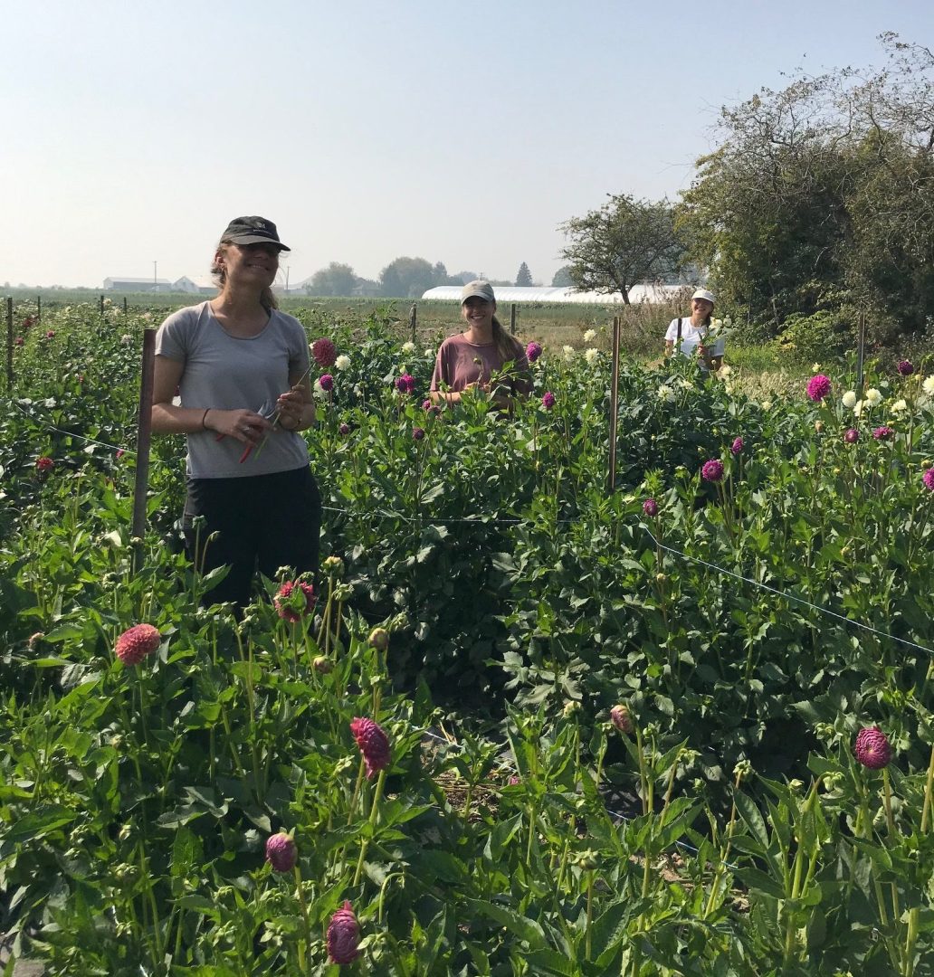 river and sea flowers