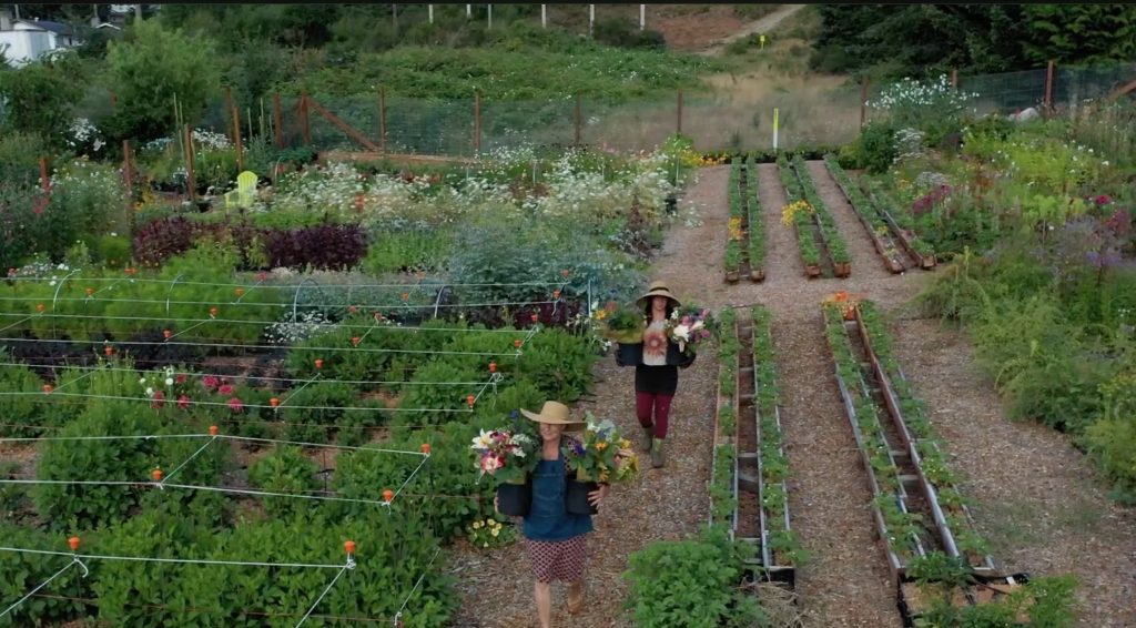 FILLED FARM JOB Sechelt, B.C. Rubys Run Urban Farms, Farm Worker