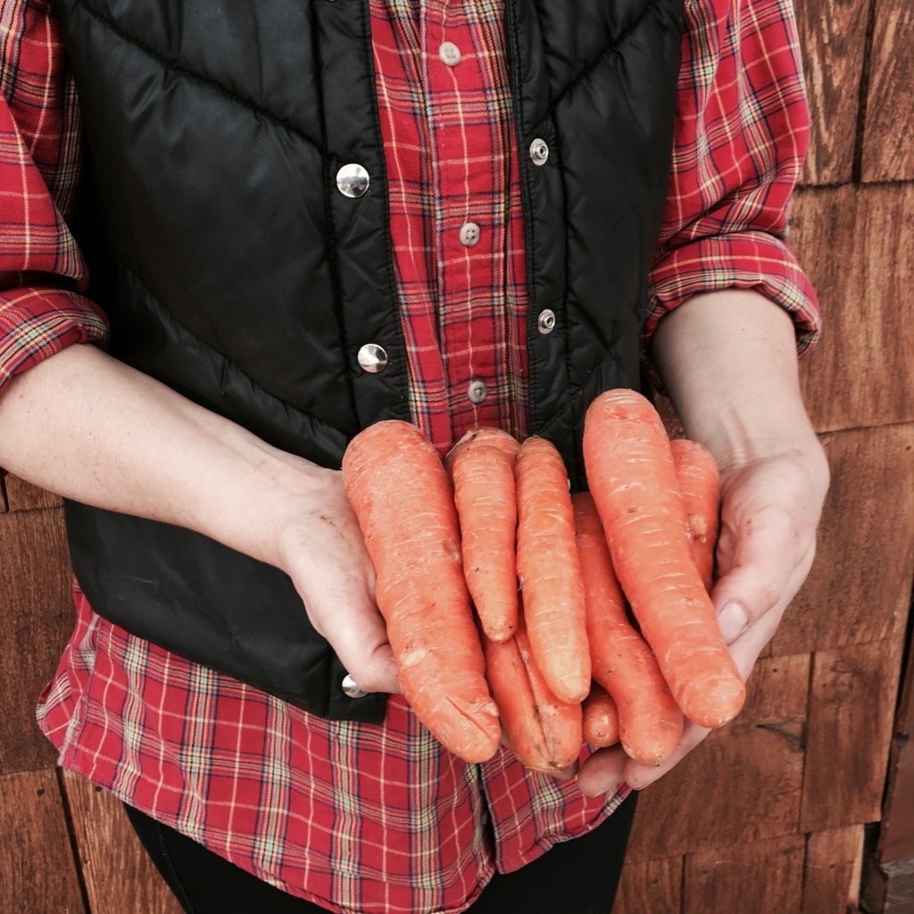 Shuswap Organics carrots