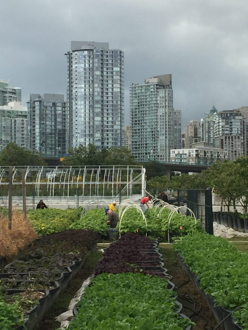 Sole-Food-Farms job vancouver