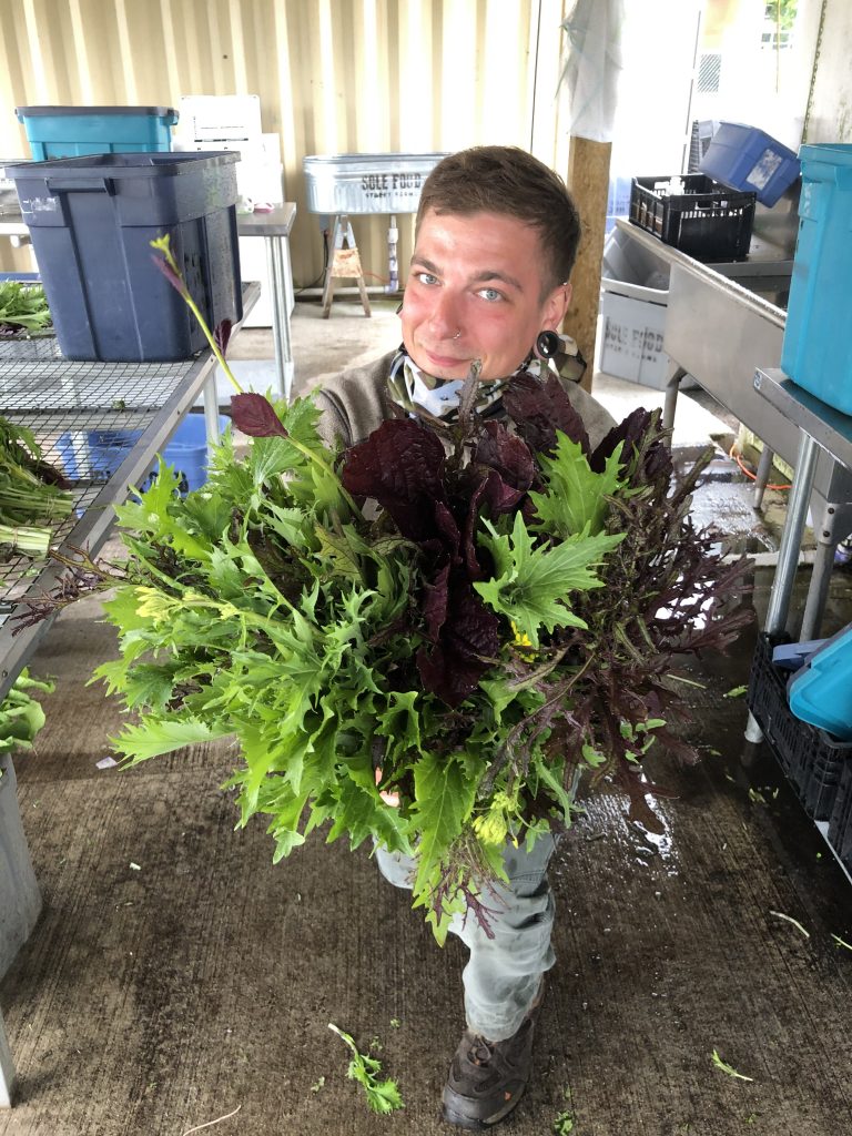 FARM JOB VANCOUVER, BC SOLE FOOD STREET FARMS, FARM MANAGER