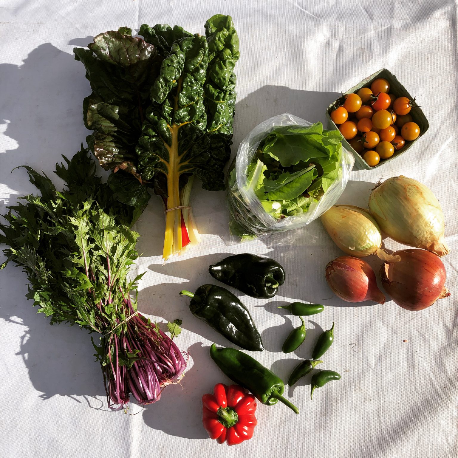 FARM JOB Vancouver, B.C. Sole Food Street Farms, Market Lead