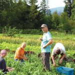 [FILLED] FARM JOB: Sorrento, BC – Sorrento Centre Farm, Permaculture Farm Apprentice