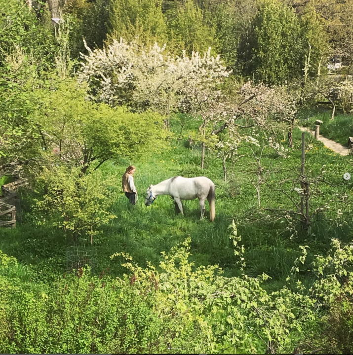FARM JOB Vancouver, BC Southlands Heritage Farm, Head Farmer / Educator