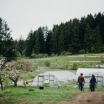 FARM JOB: Salt Spring Island, BC – Stowel Lake Farm, Farm Staff
