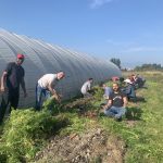 FILLED – FARM JOB: Richmond, BC – The Sharing Farm, Farm Manager