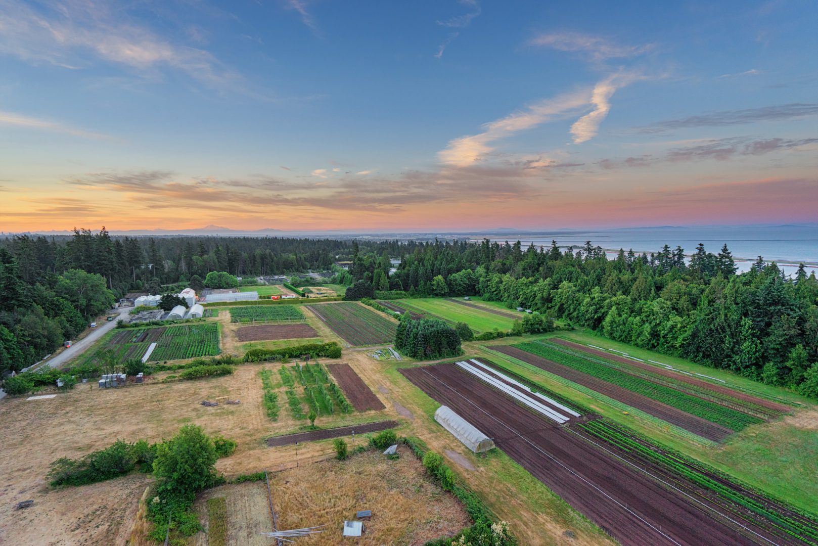 FARM JOB Vancouver, BC UBC Farm, Allium & Cucurbit Field Coordinator